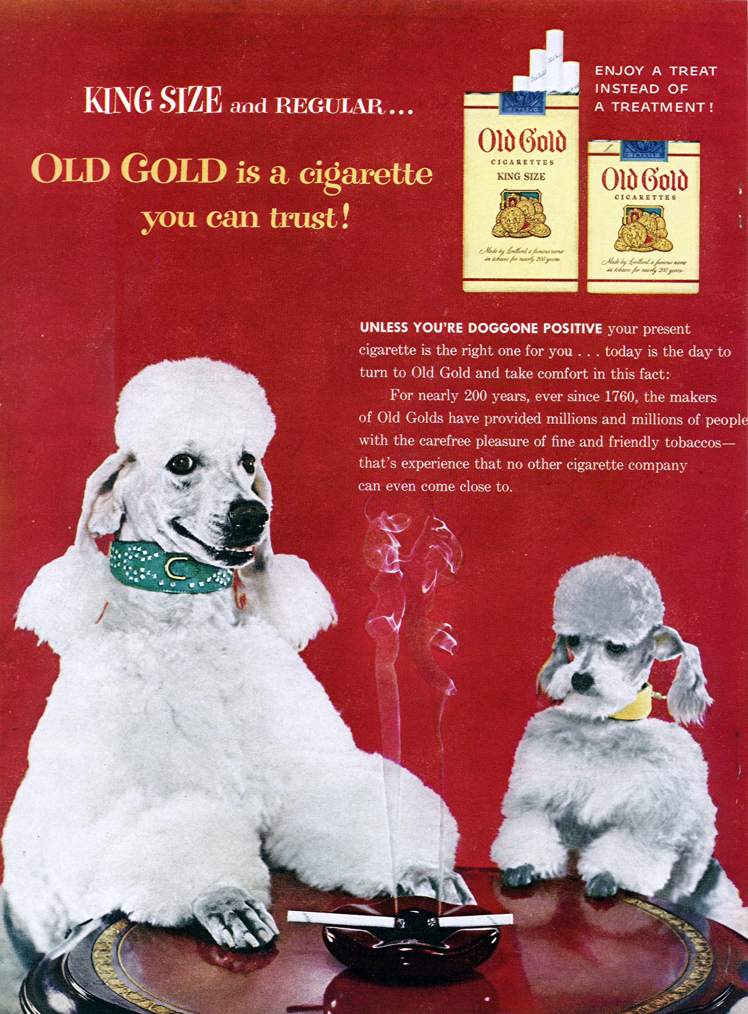 50 Years After Landmark Warning, 8 Million Fewer Smoking Deaths : Shots