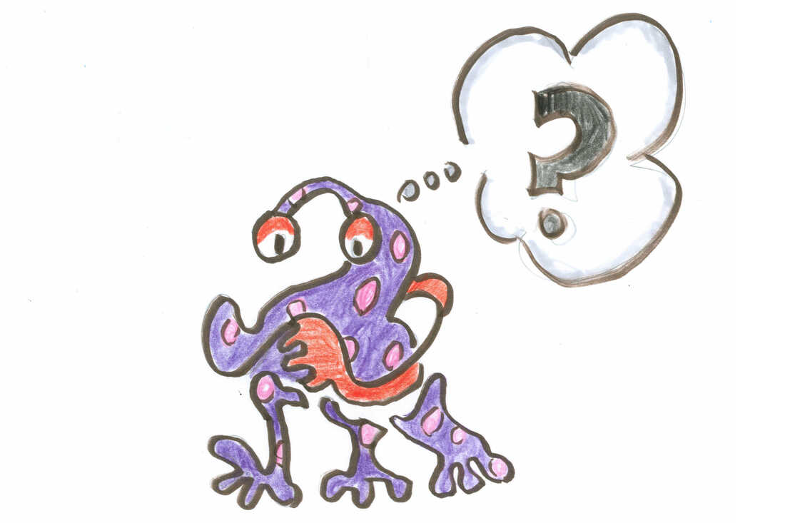 A Zantar graduate student has a question.