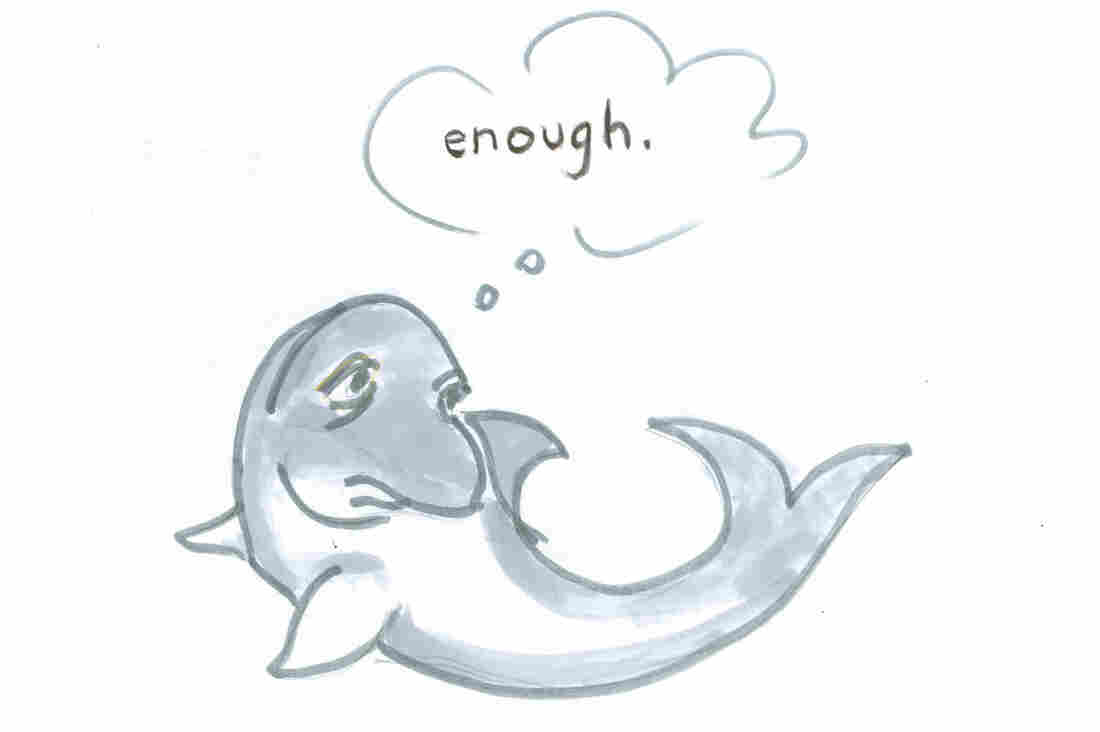 Dolphin says, "Enough."