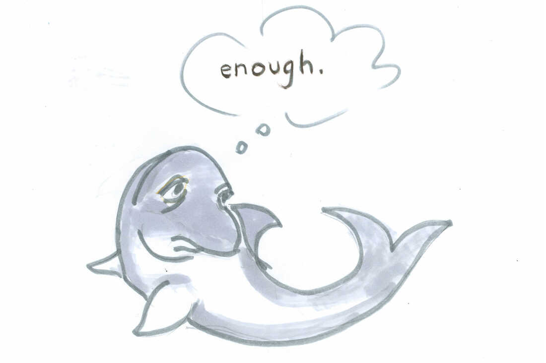 Dolphin says, "Enough."