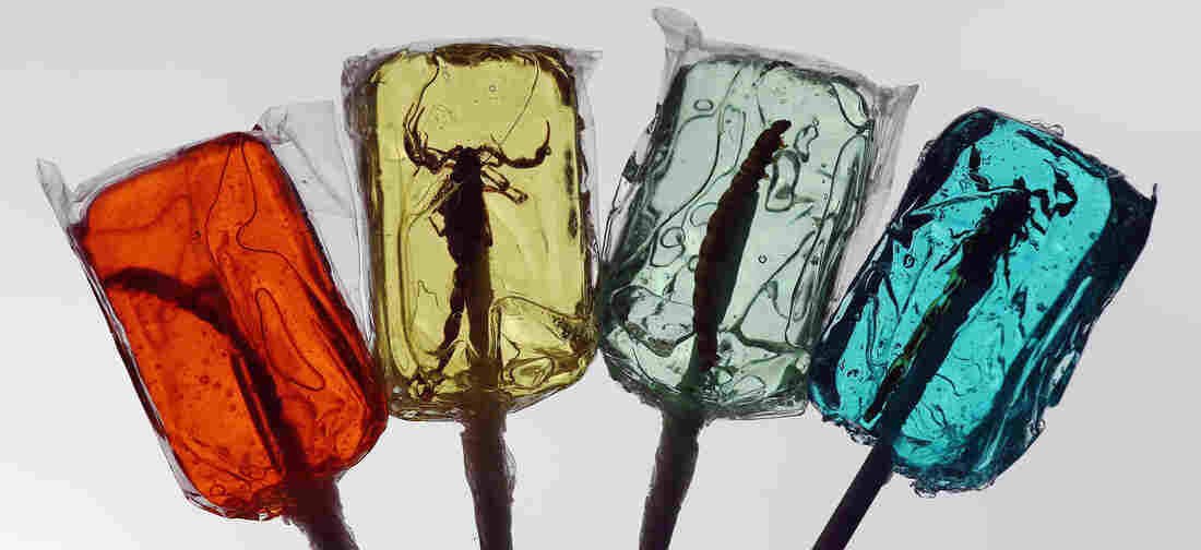 Insect candy given out as part of a promotion in London last year.