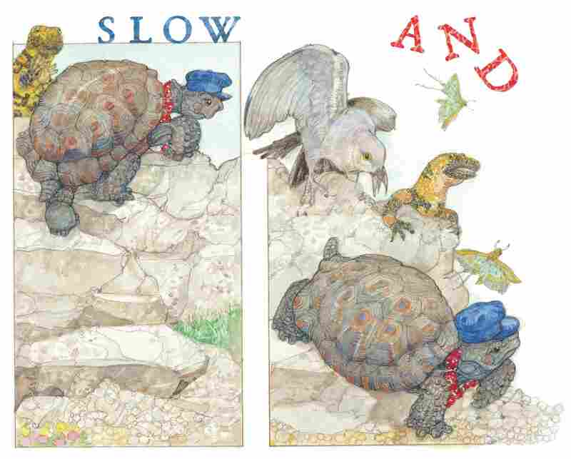 Excerpted from The Tortoise & The Hare by Jerry Pinkney. Copyright 2013 by Pinkney. Excerpted by permission of Little, Brown Books for Young Readers.