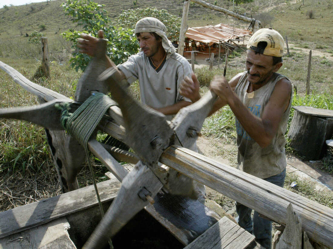 Brazil's Slaves Are Being Freed, But Owners Go Largely Unpunished ...