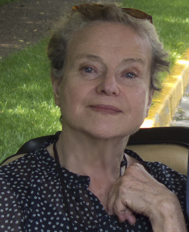 Review 'Flyover Lives' By Diane Johnson NPR