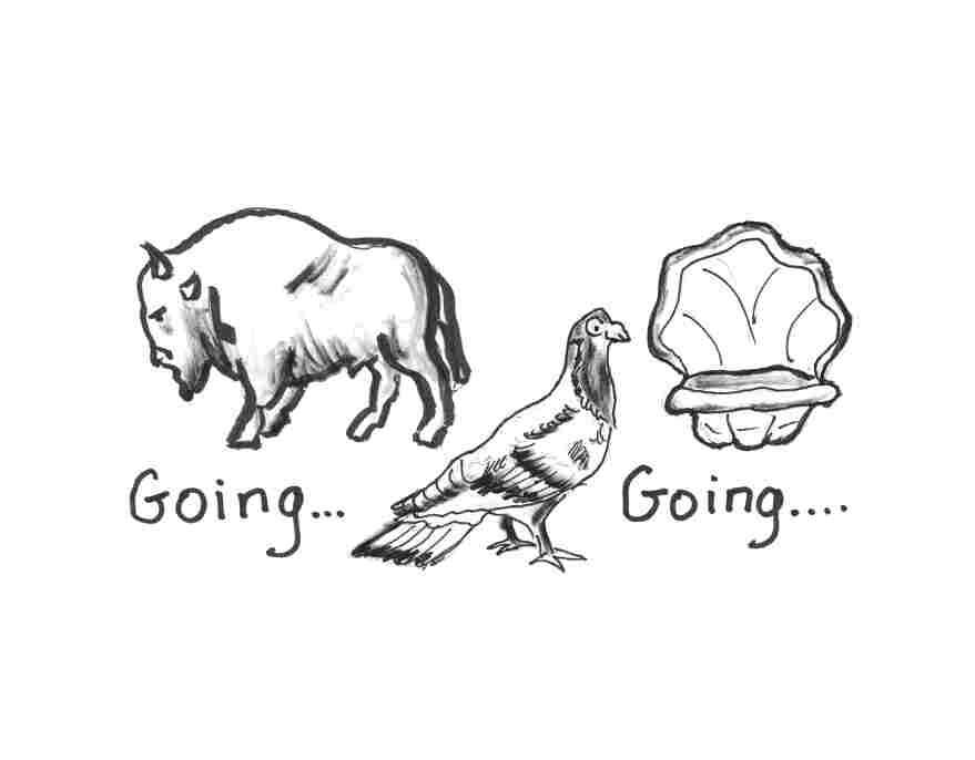 Going...Going...