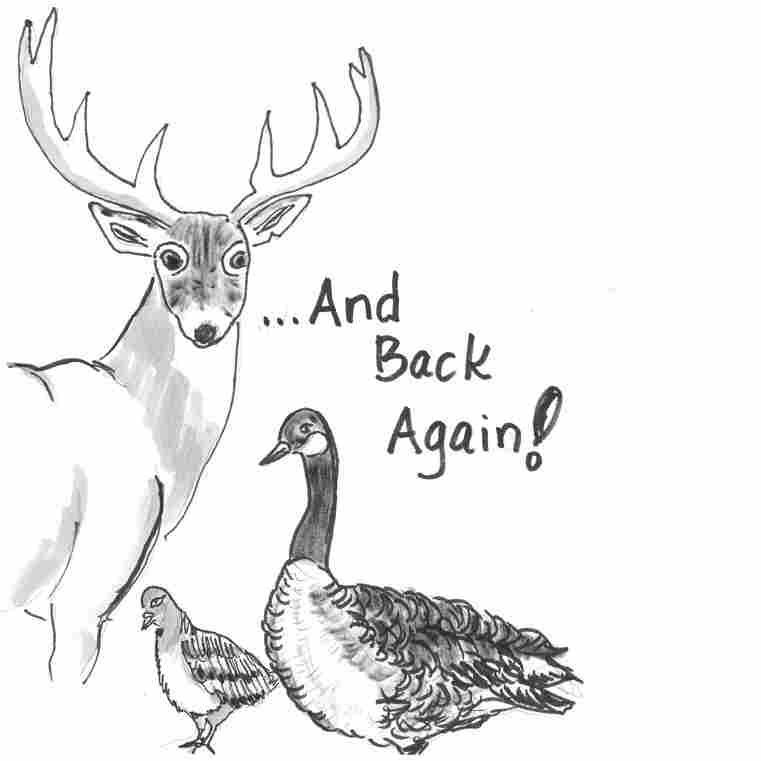 ...and back again