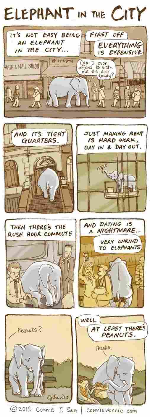 Elephant in the City