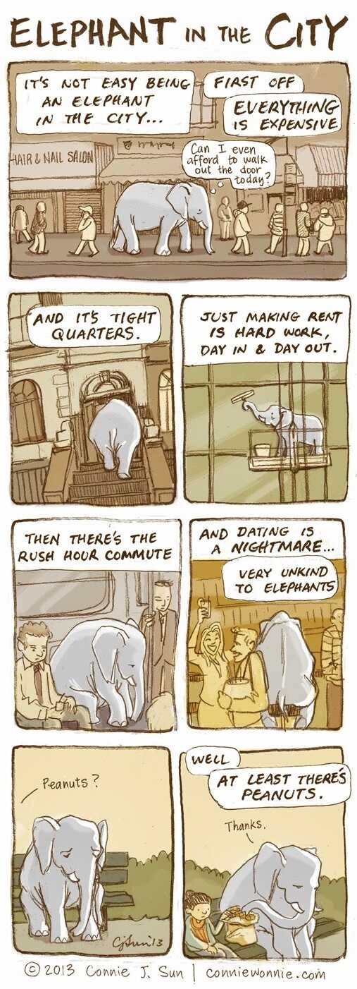 Elephant in the City