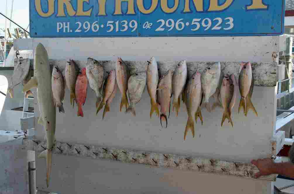 In 2007, the shrinking fish tale continued to play out on the Hanging Board.