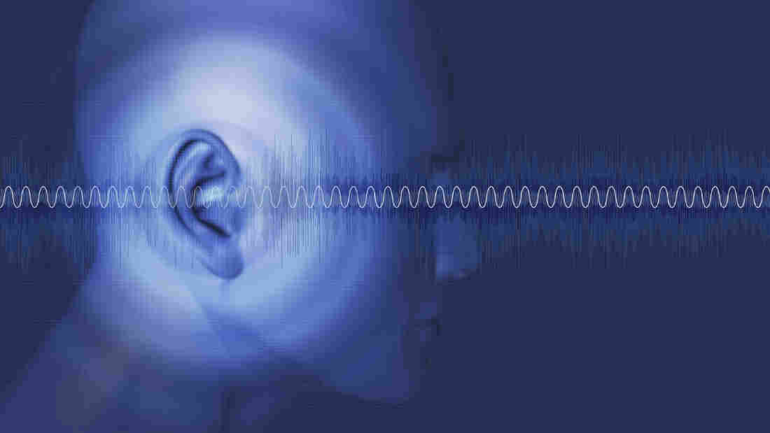 Certain sorts of hearing loss stem from the way the brain processes sound.