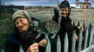 A kitten loves on an old woman in the Cossack village of Velikopetrovskaya near Cheliyabinsk.