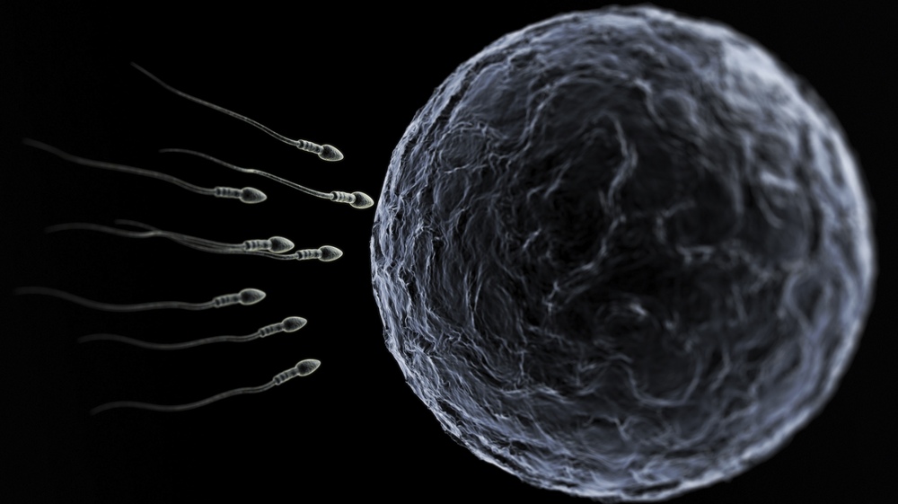 Boy meets girl, sperm meets egg — how much does the age of each matter? (iStockphoto)