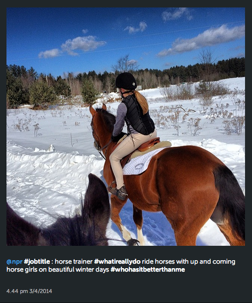 horse trainer