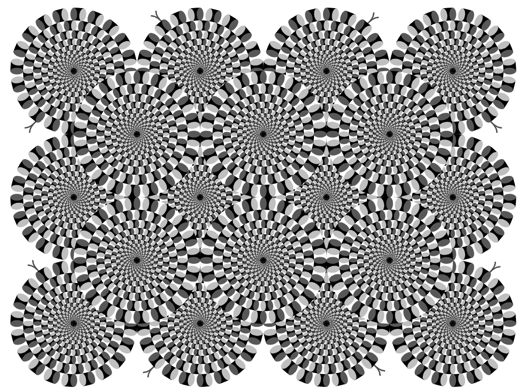 When the Rotating Snakes illusion is presented in grayscale, most people still perceive motion, but less than in the original color version. (Tania Lombrozo)