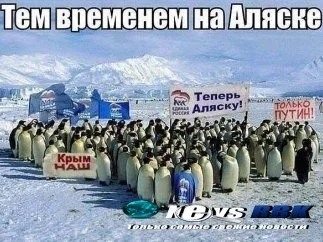 RussianPenguins-94719534ae83ce84d0fd974574eb67f35a0c9903-s400-c85.webp