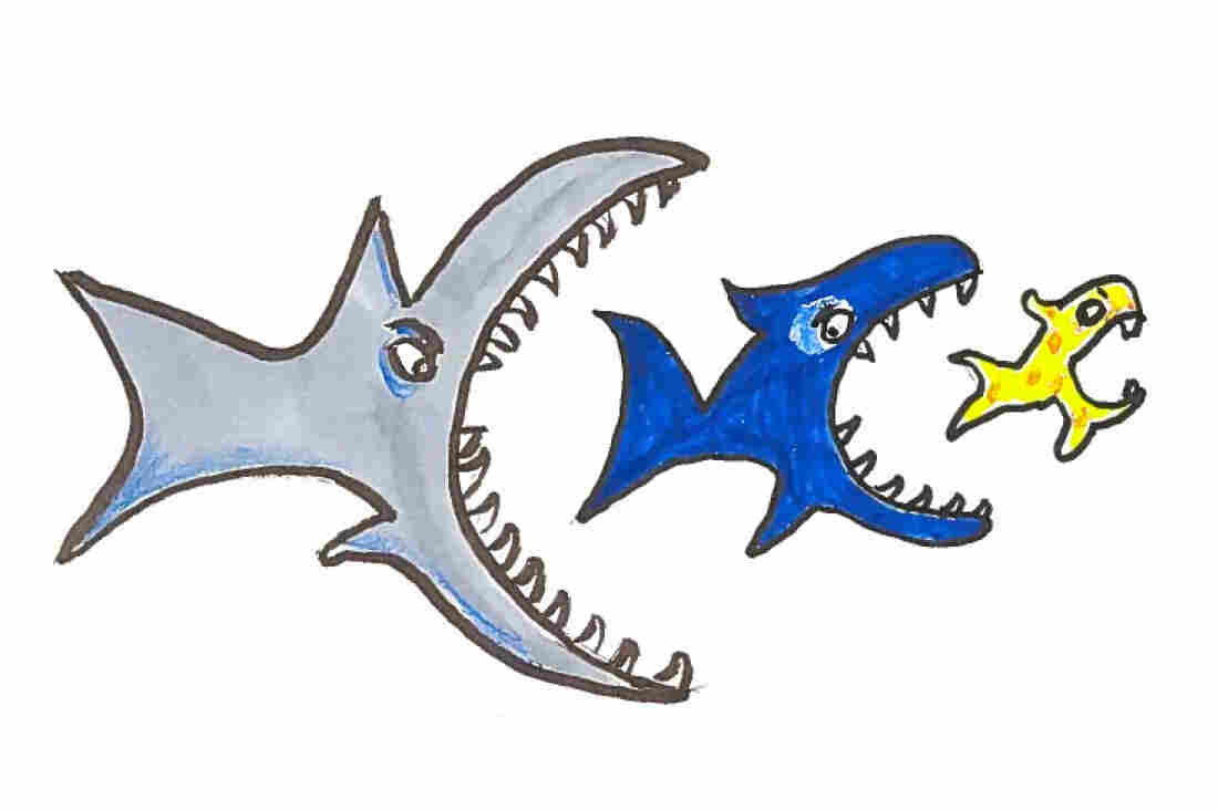 A big fish eating a smaller one eating the smallest one.