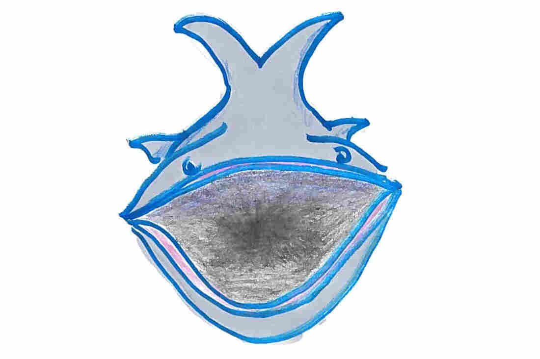An open mouthed whale.