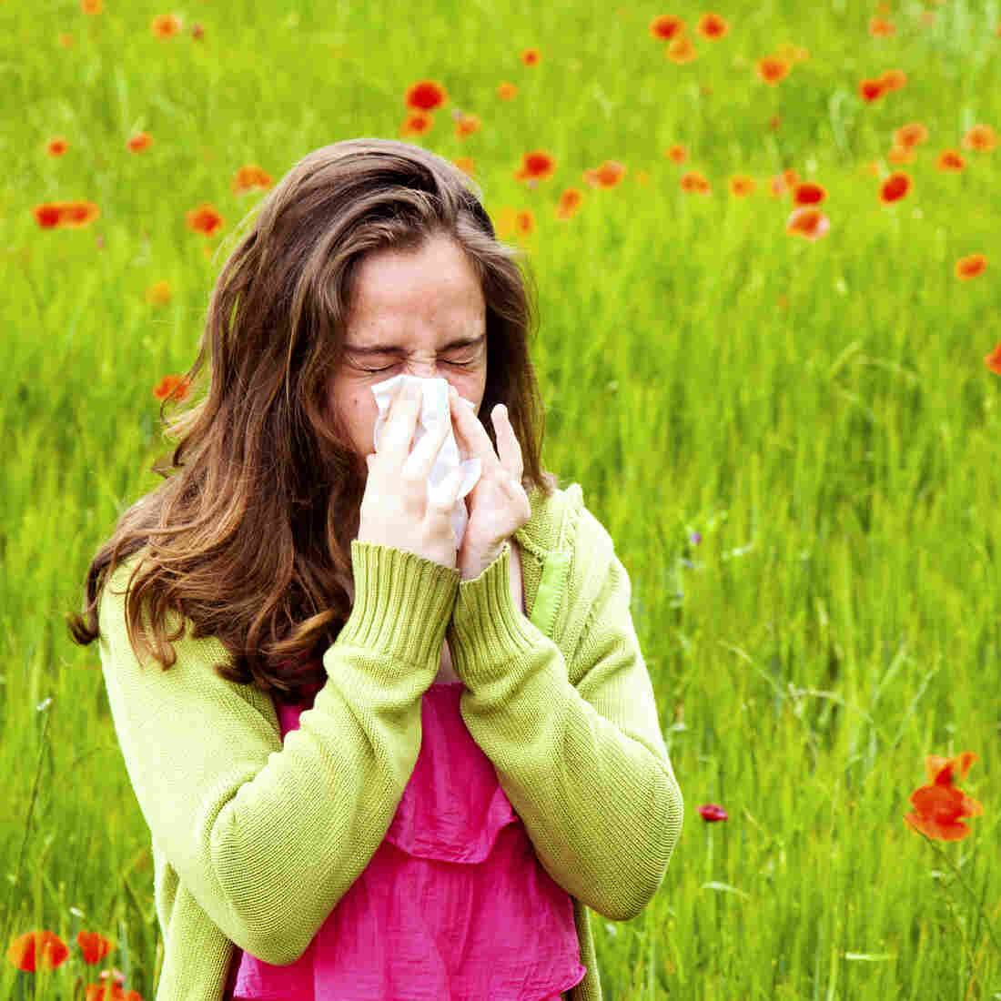 Acupuncture May Help With Nasal Allergies, Doctors Say Shots Health