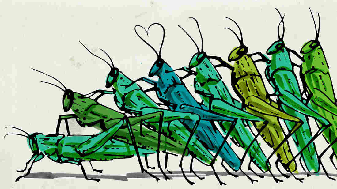 Daniel Horowitz for NPR