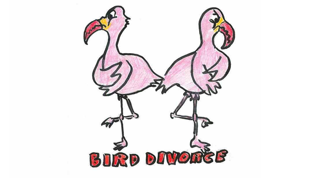Flamingoes break up 99 percent of the time.