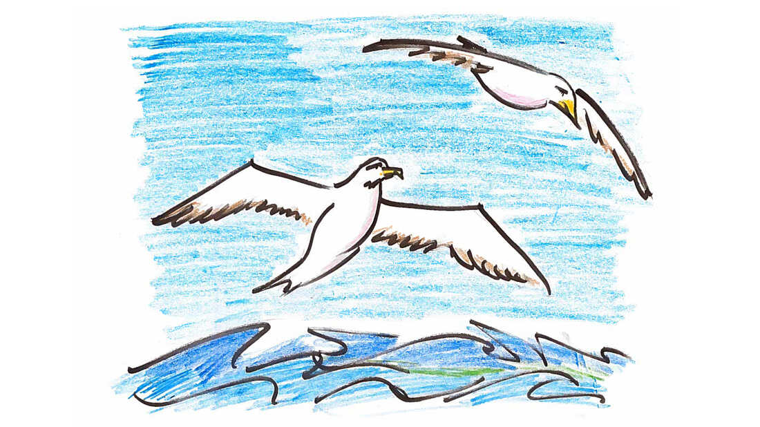 Albatrosses turn out to be among the animal kingdom's most successful couplers.