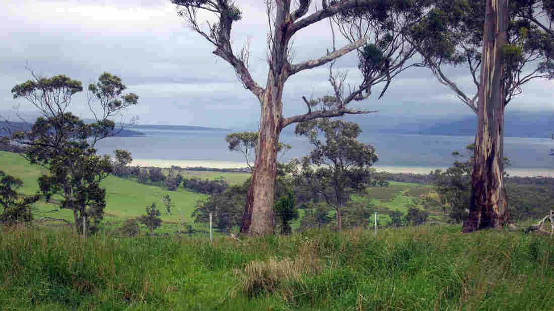 A view of Tasmania