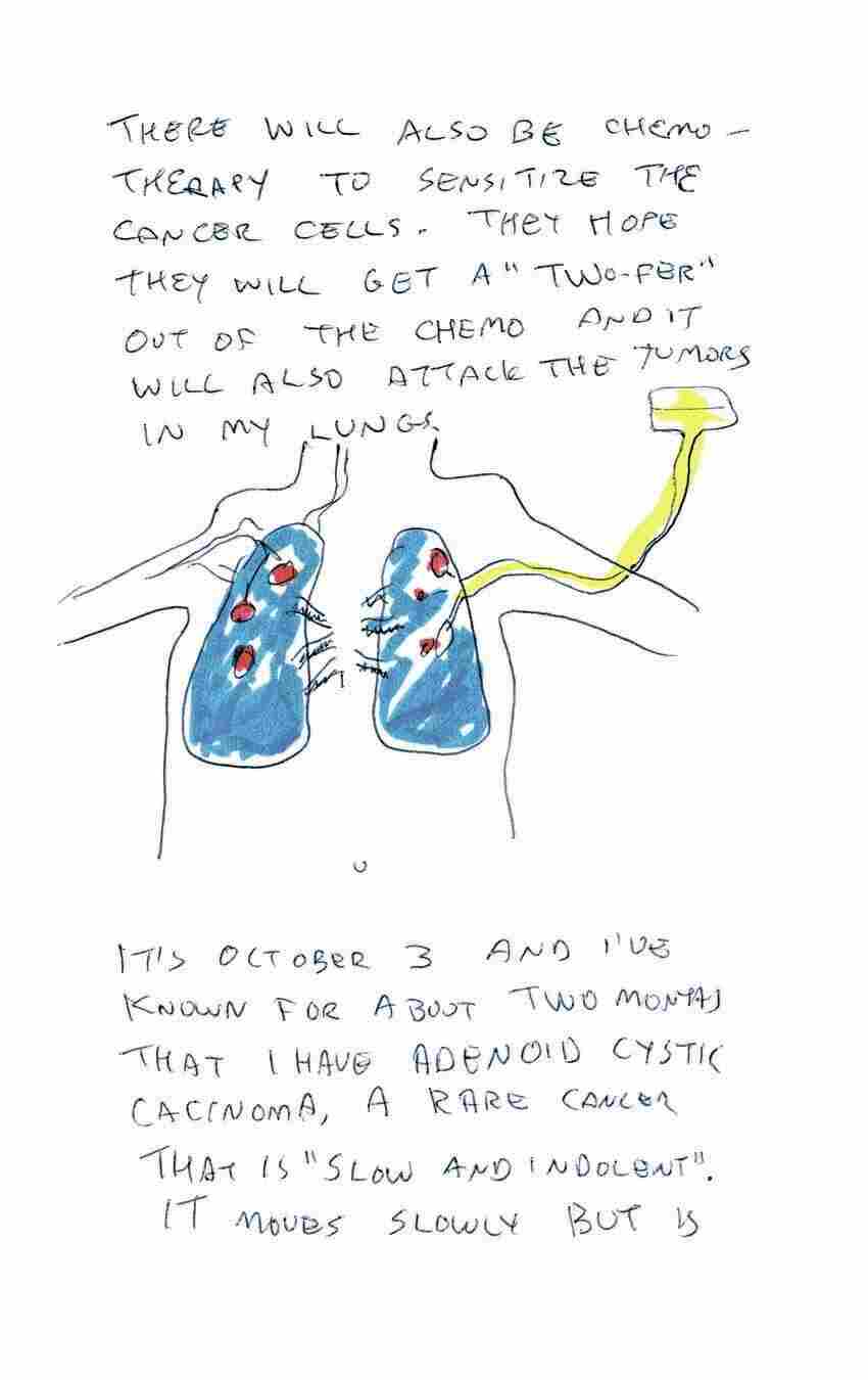 page12