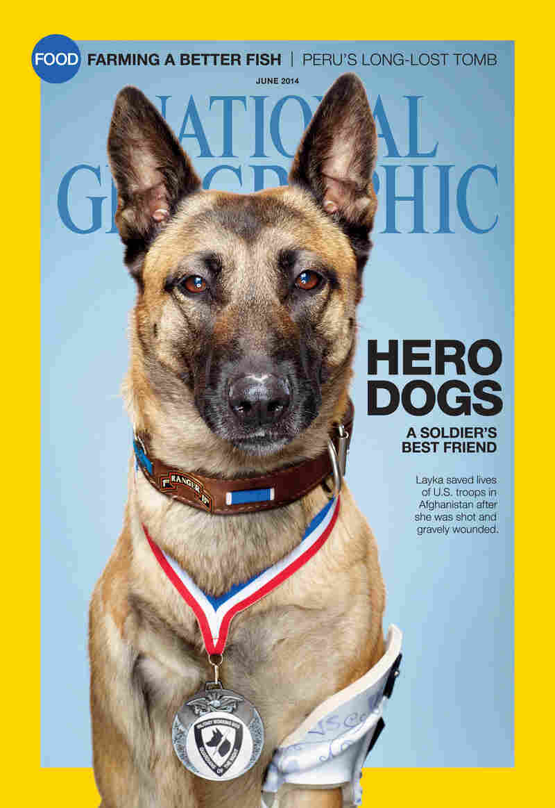 Jose Armenta is profiled in the June issue of National Geographic.