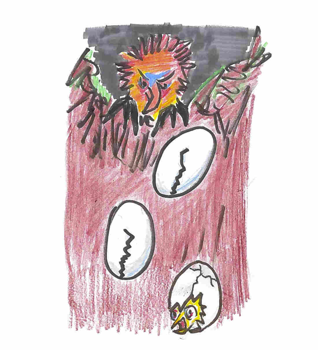 A cuckoo chick throwing eggs from the nest.
