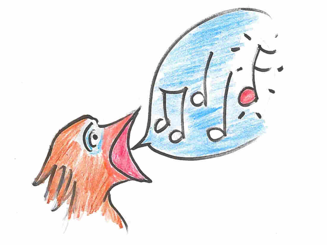 Chick singing "the note".