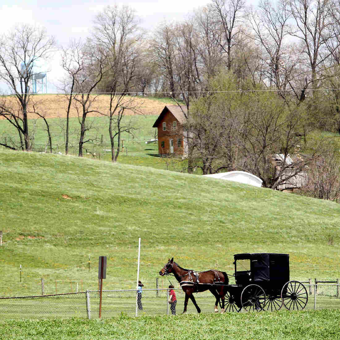 Measles was brought to Ohio's Amish communities by people returning from mission trips to the Philippines. Measles was brought to Ohio's Amish communities by people returning from mission trips to the Philippines.