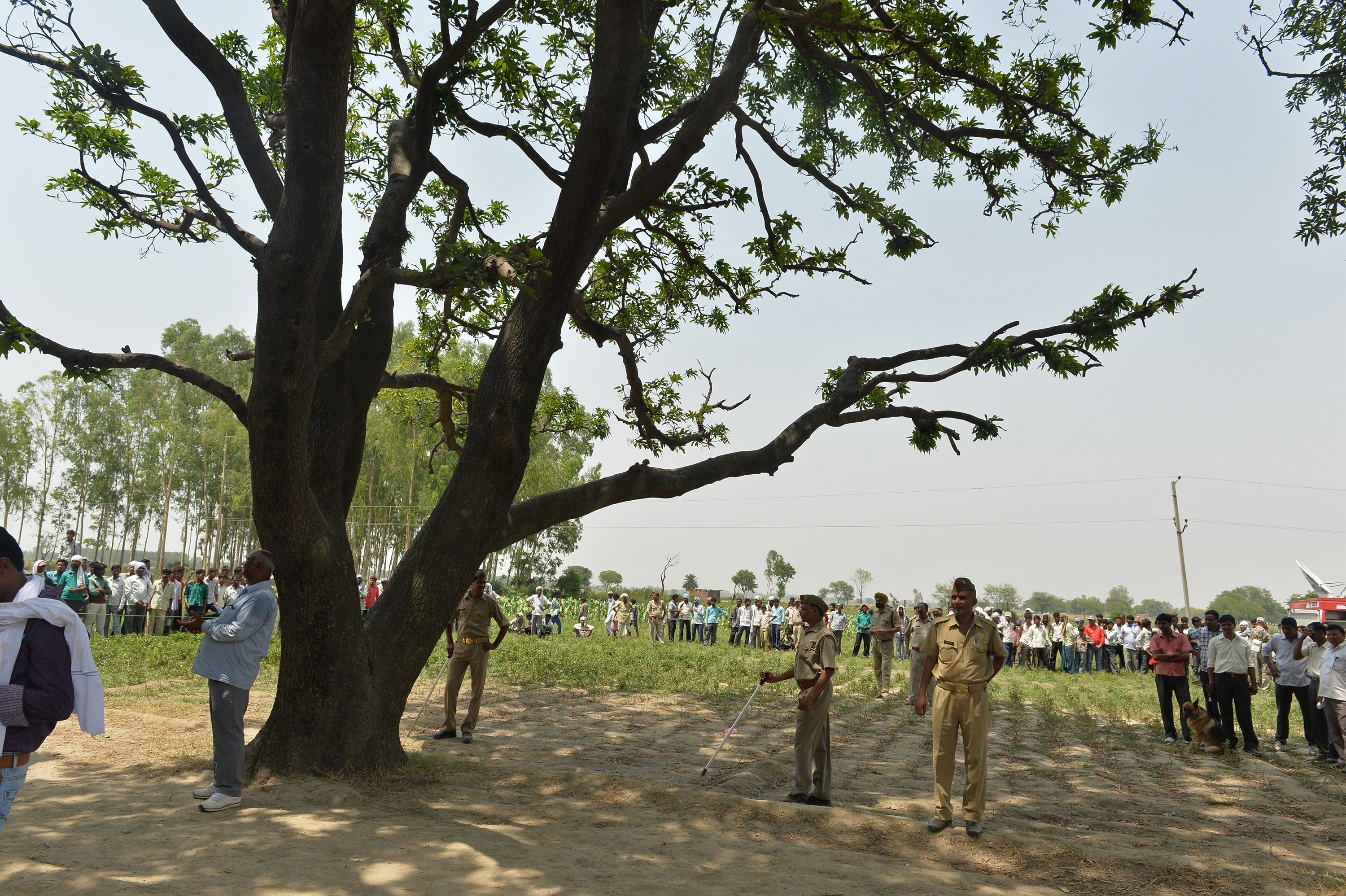 Indian police keep watch at the tree where the bodies of gang rape victims were found hanging.