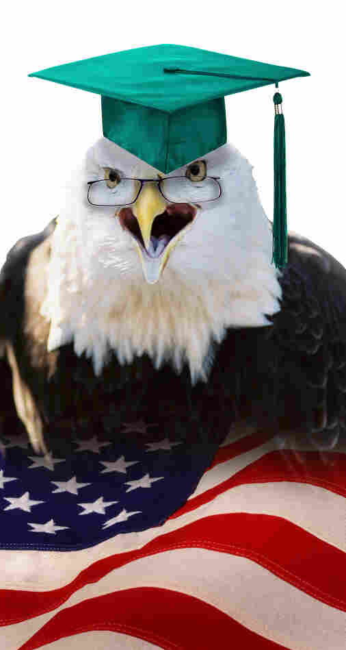 American eagle with mortar board.