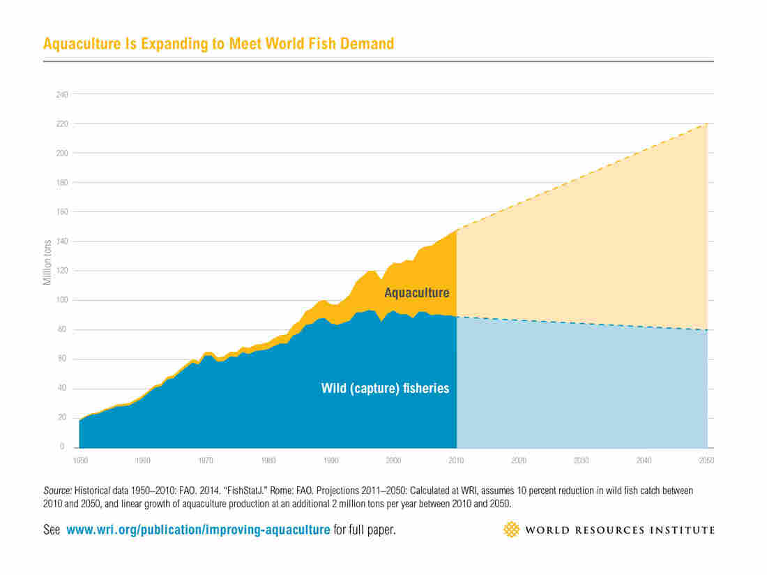 Aquaculture will have to more than double by 2050 to meet the demand for seafood.