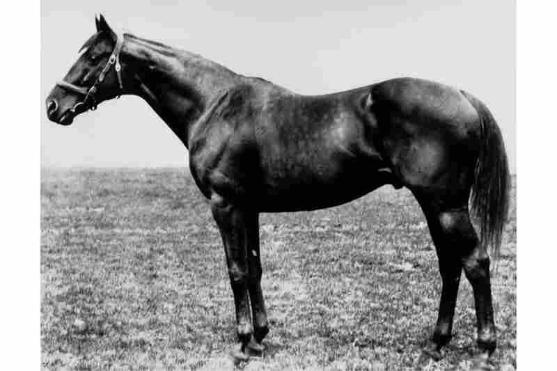 Photos Triple Crown Winners, From An Age Long Past NPR
