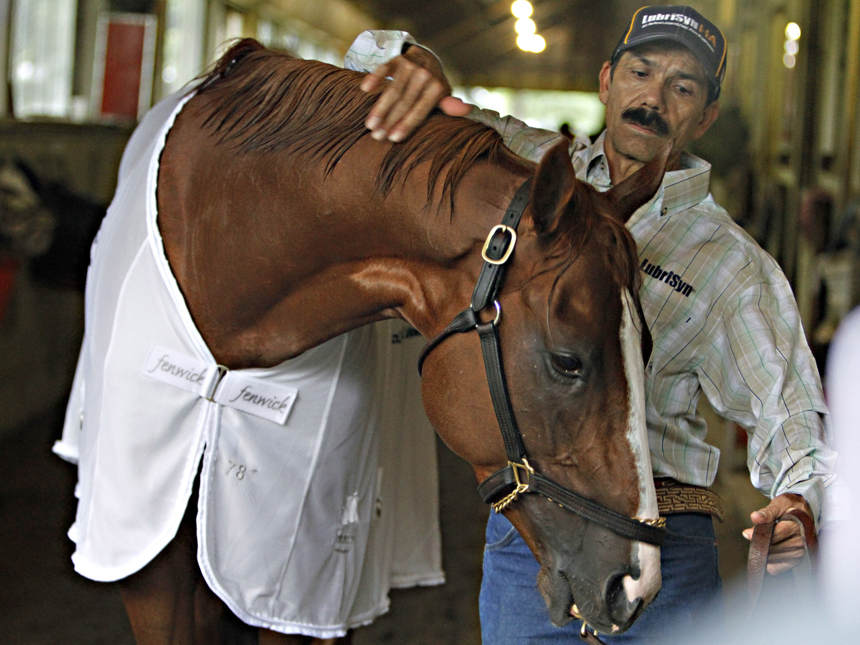 A horse - and a horse story - for the ages