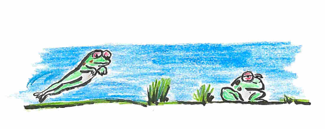A frog hopping.