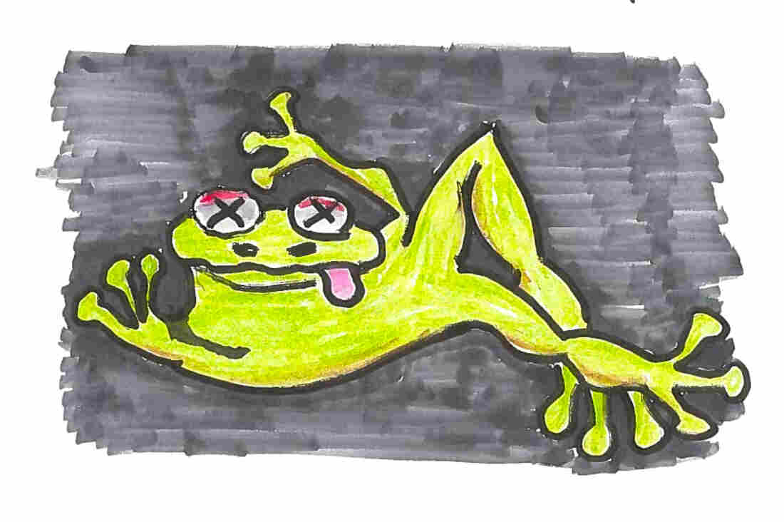 Frogs are too heavy to land safely. They'd splat.