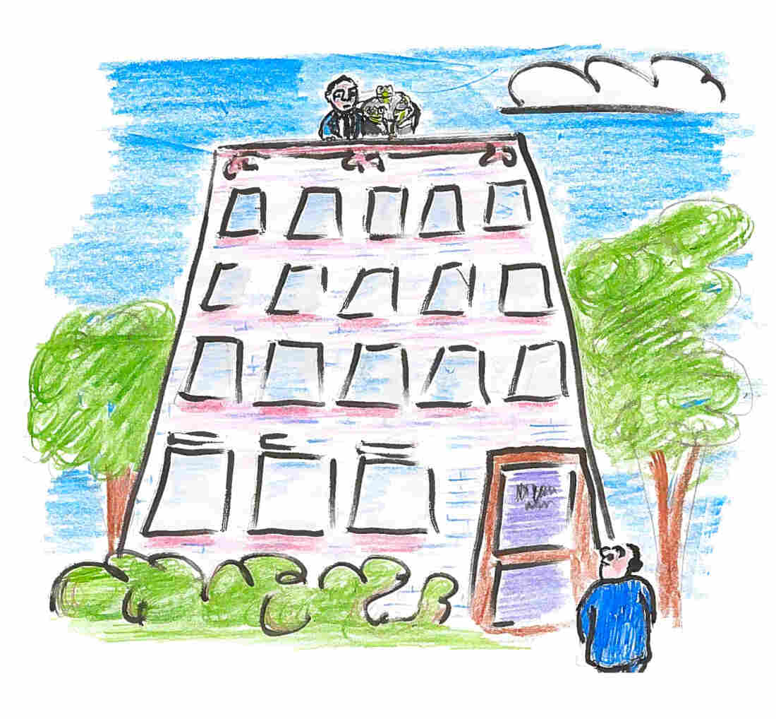 Professor Darlington stood on the roof of a multistory building in Cambridge, carrying a bucket of live frogs while Professor Barbour waited in the yard below.