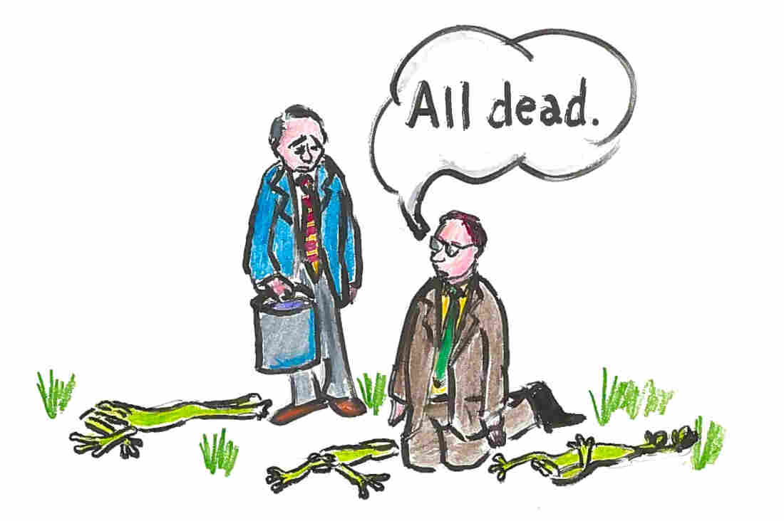 All dead.