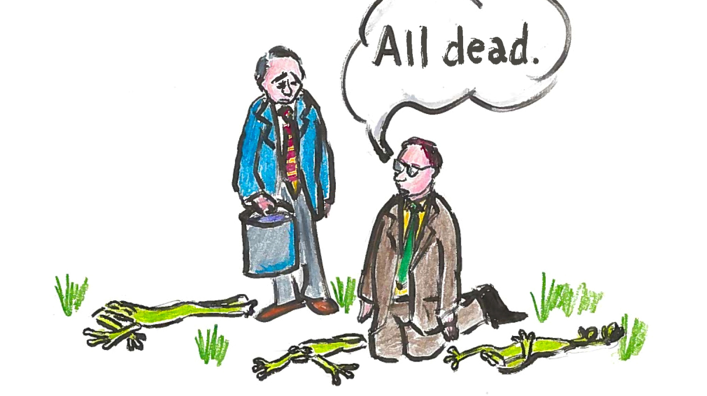 How We Learned That Frogs Fly : Krulwich Wonders... : NPR