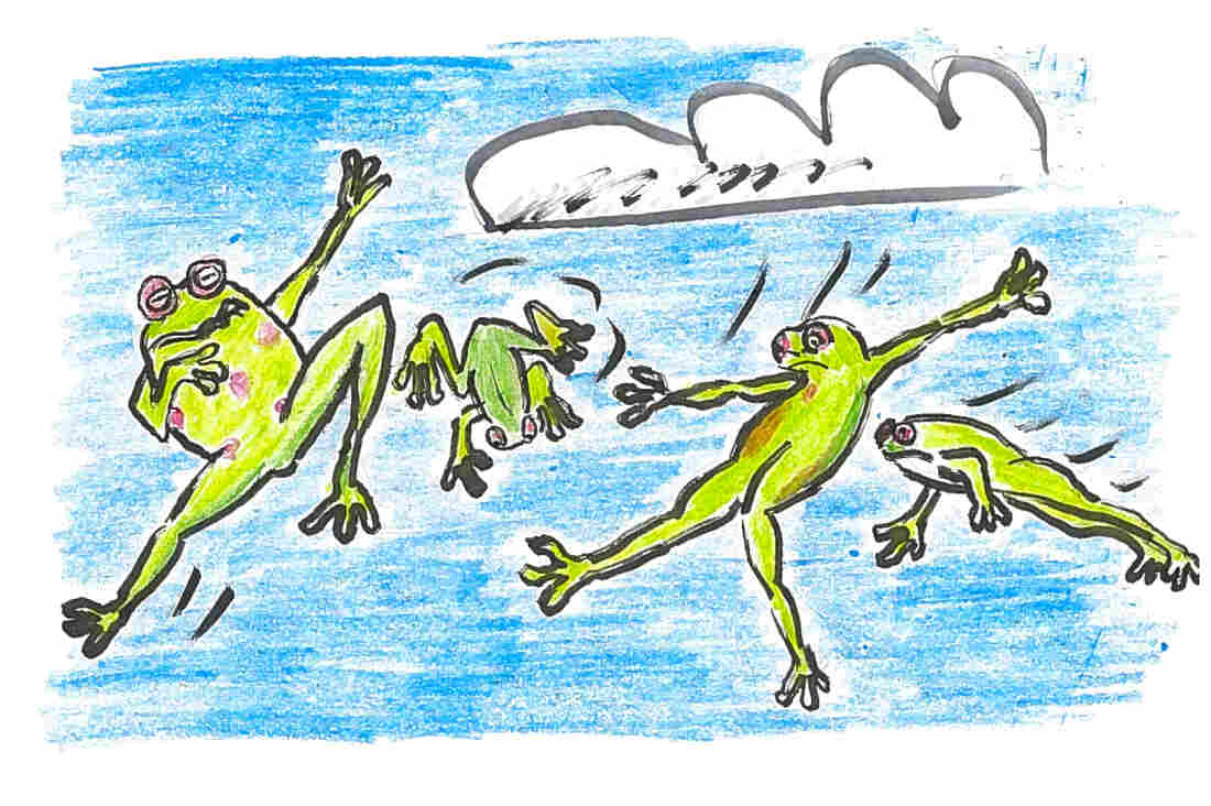 Frogs being blown into the sky by wind.