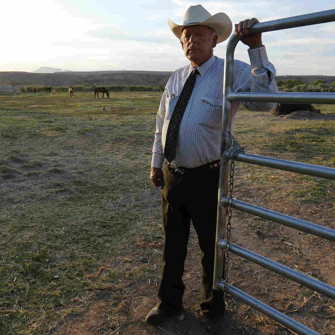 Tensions Still High In 'Nevada Land' Over Cattle Dispute