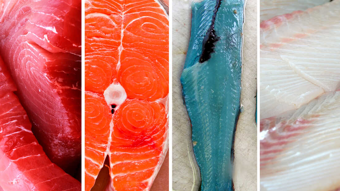 What the History of Salmon Can Tell Us About the Future of the