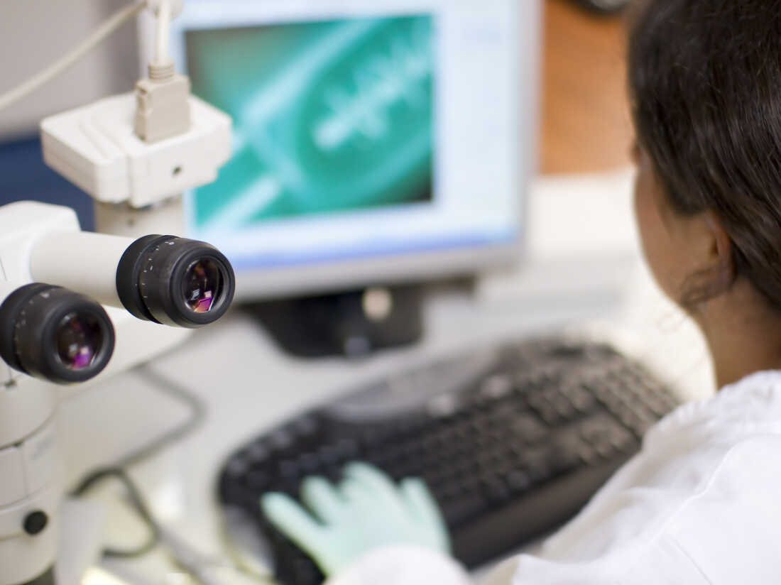 Looking over the shoulder of a researcher in a lab.