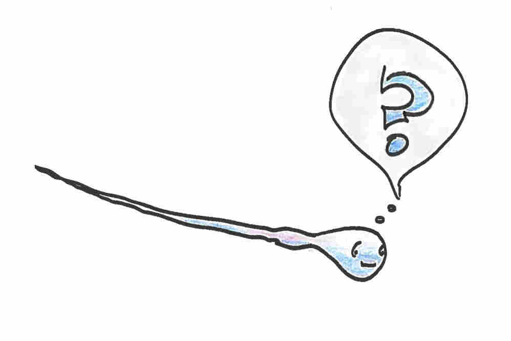 Sperm with a question.