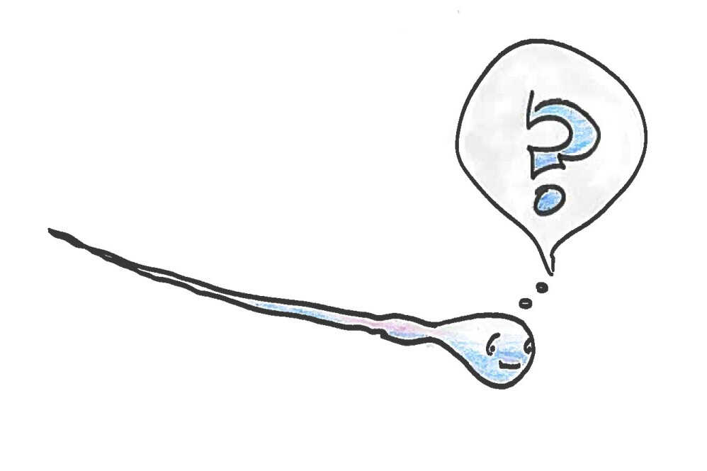 Sperm with a question.