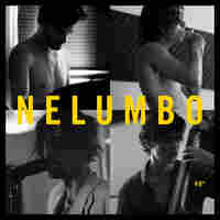 Nelumbo