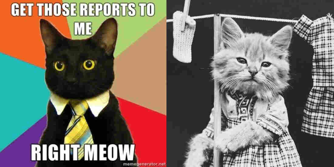 Business cat meme from KnowYourMeme and Hanging Up the Wash from the Library of Congress.