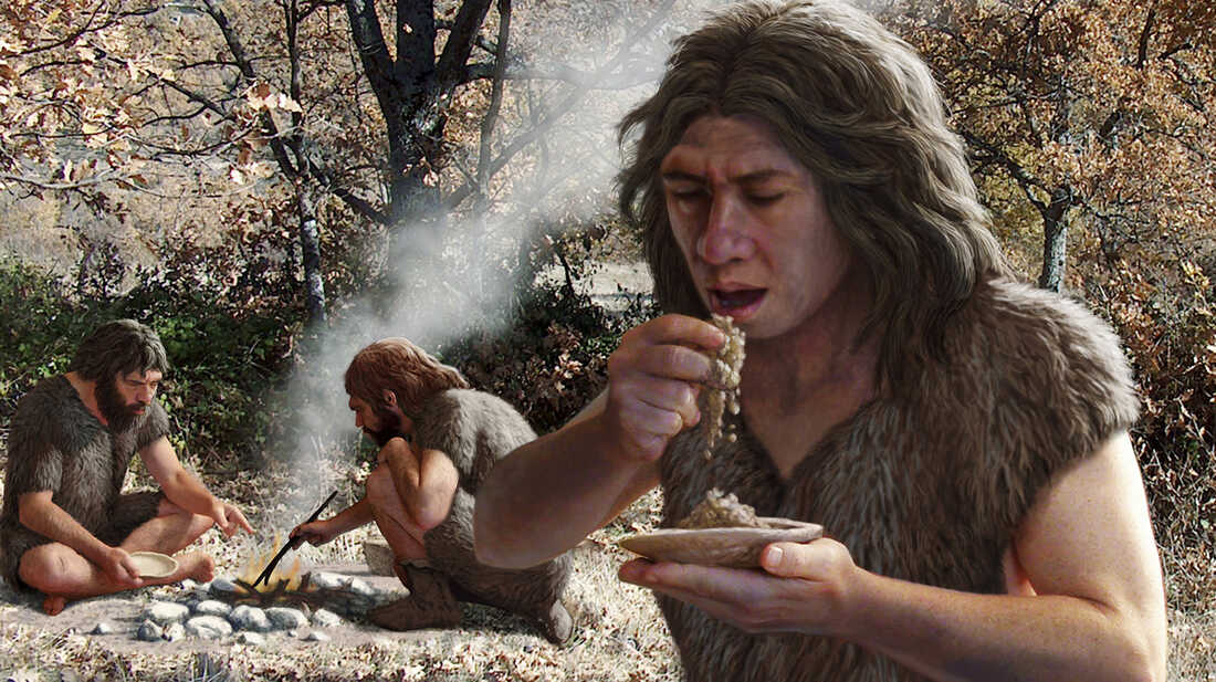 did-neanderthals-eat-plants-the-proof-may-be-in-the-poop-the-salt-npr